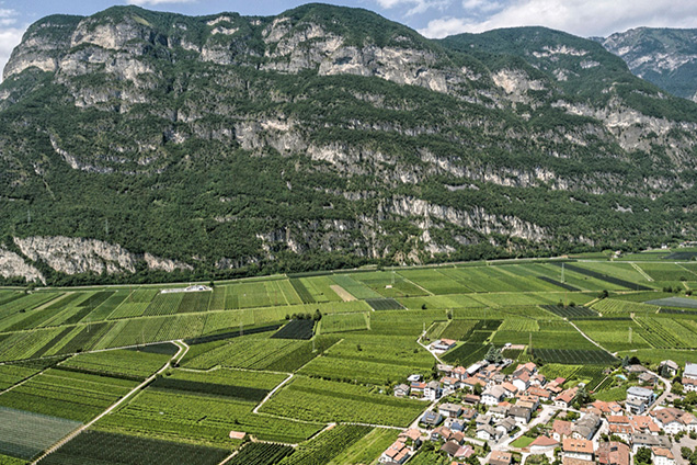 Weingut Peter Zemmer